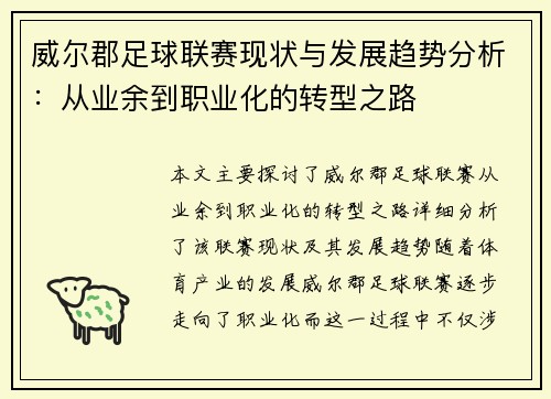 威尔郡足球联赛现状与发展趋势分析：从业余到职业化的转型之路